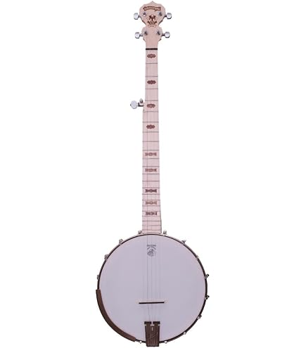 ま*こ様 【激レア】Deering 5弦 goodtime バンジョー ソフトケ Deering Goodtime Deco 5-String Banjo - Best Beginner Banjo | Made